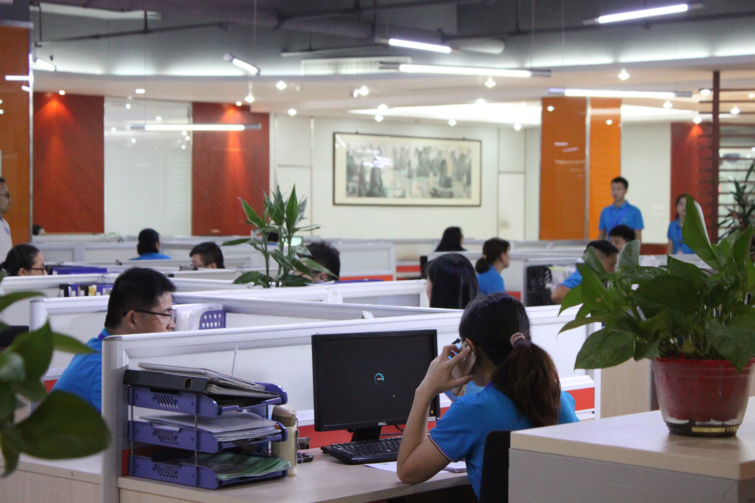 Sales Team-6